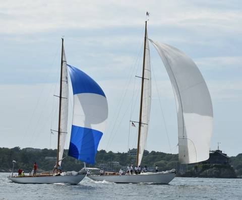 NYYC 175 photo 229