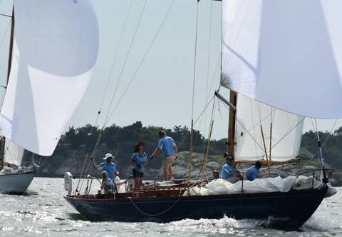 NYYC 175 photo 230