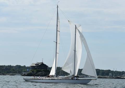 NYYC 175 photo 235