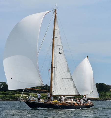 NYYC 175 photo 238