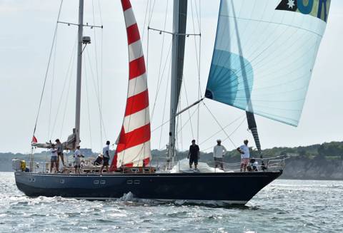 NYYC 175 photo 239