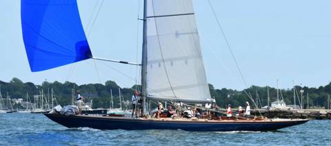 NYYC 175 photo 242