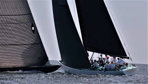 NYYC 175 photo 244