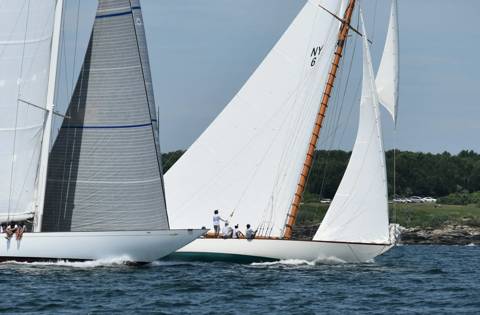 NYYC 175 photo 245