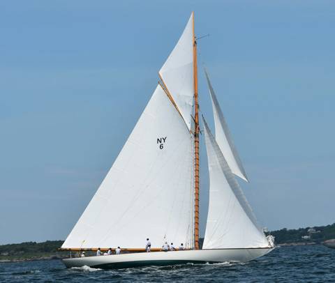 NYYC 175 photo 246