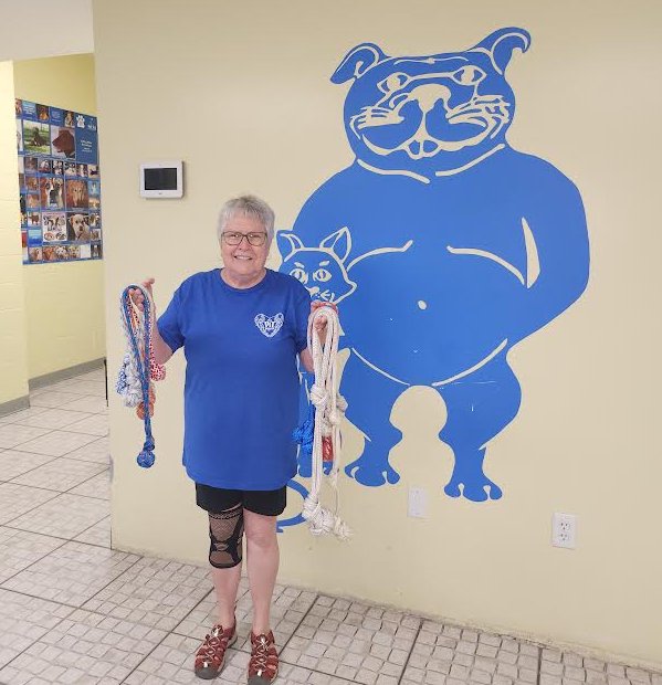 A Pet Pals volunteer holding armfuls of rope dog toys in front of a blue dog and cat mural