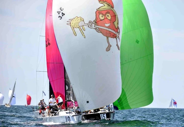 Racing sailboats under bright spinnakers on Tampa Bay